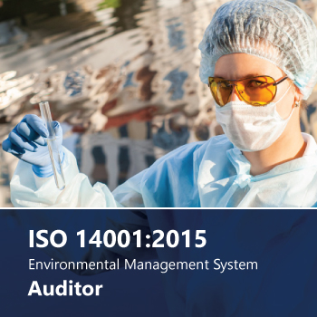 ISO 14001:2015. Environmental management system auditor image